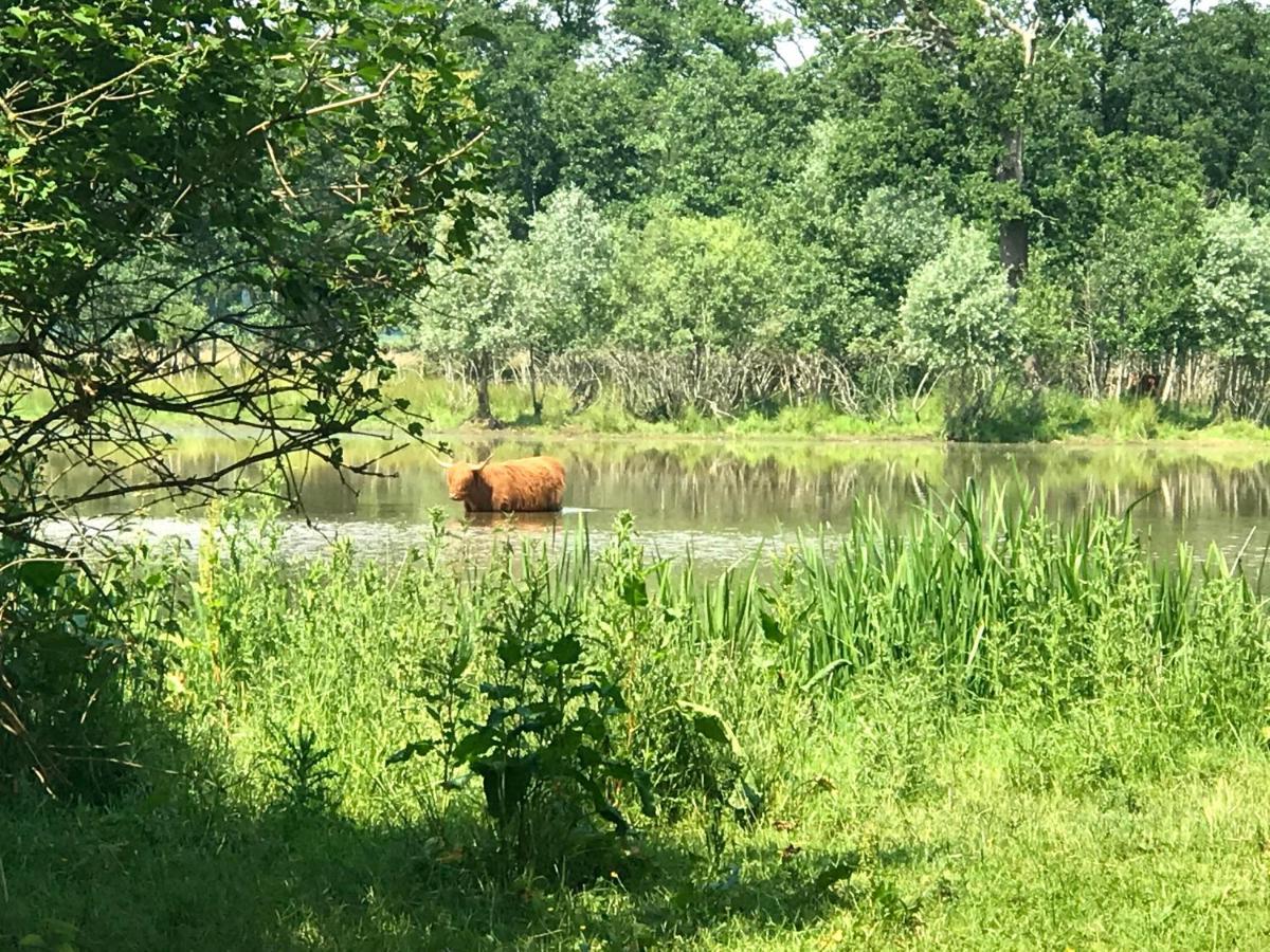 Vila In De Tuin In Gees Exteriér fotografie