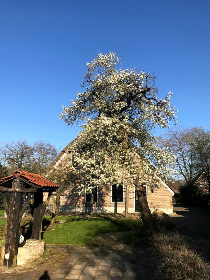 Vila In De Tuin In Gees Exteriér fotografie